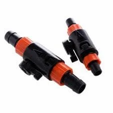 Hình ảnh minh họa (1)