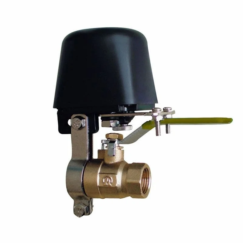 Hình ảnh minh họa (2)