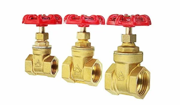 Hình ảnh minh họa (2)