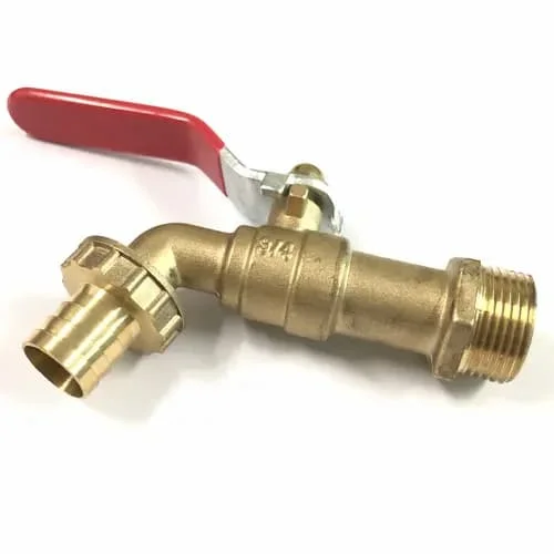 Hình ảnh minh họa (2)