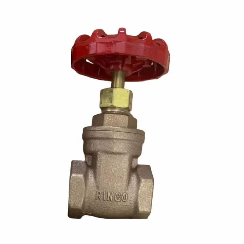 Hình ảnh minh họa (1)