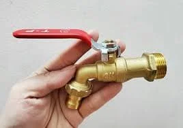 Hình ảnh minh họa (2)