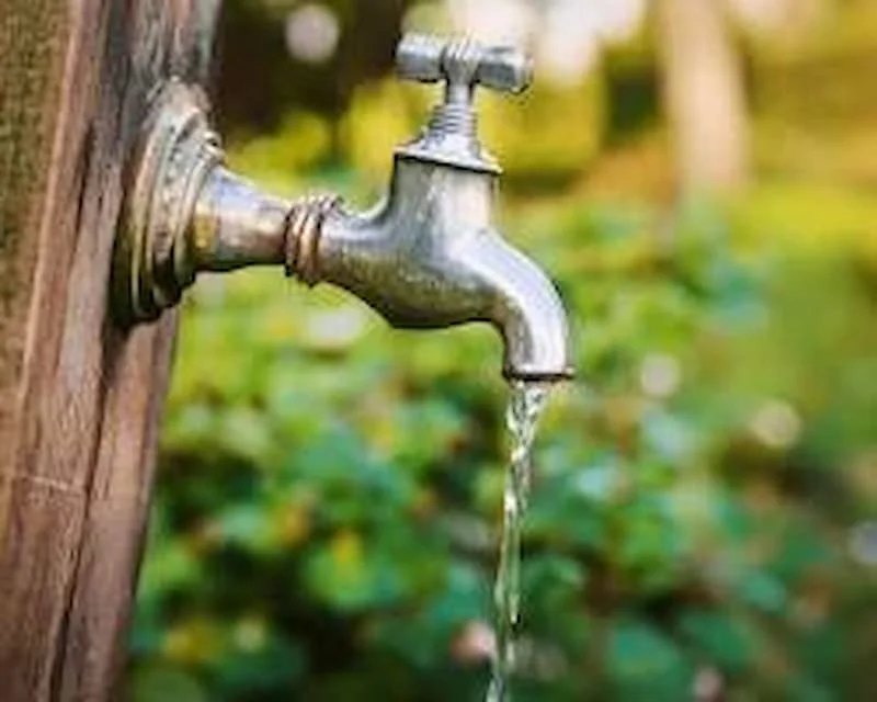 Hình ảnh minh họa (3)