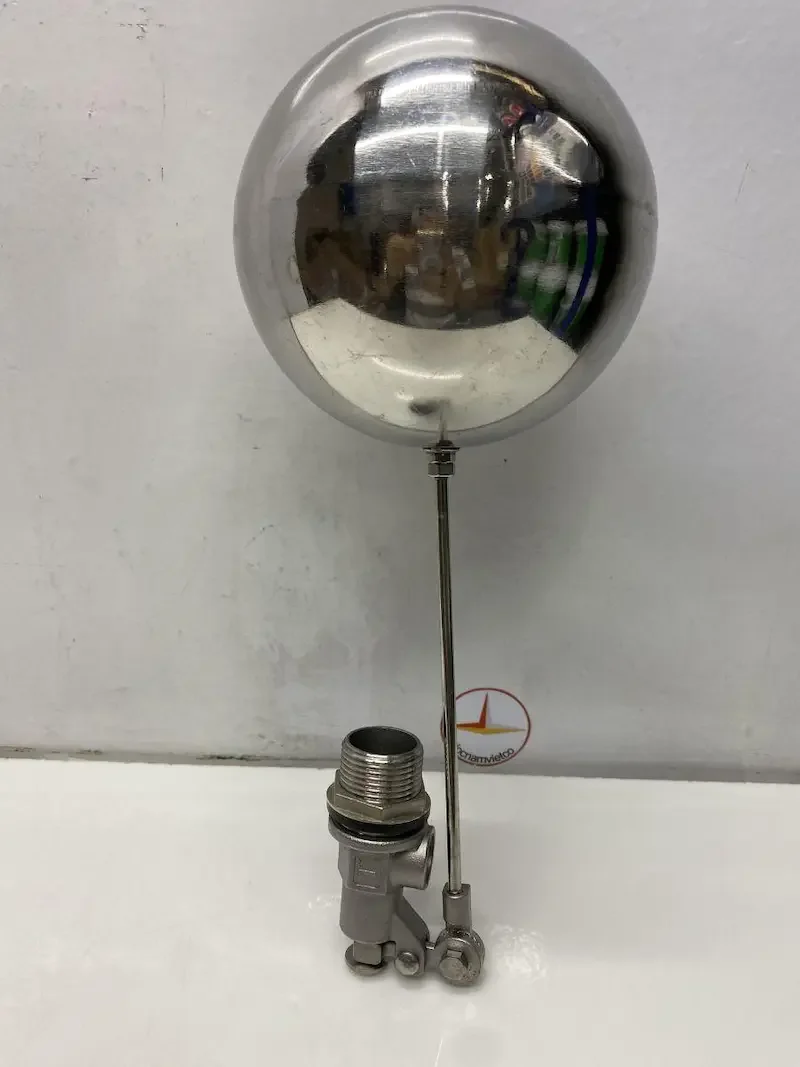 Định nghĩa của phao nước cơ