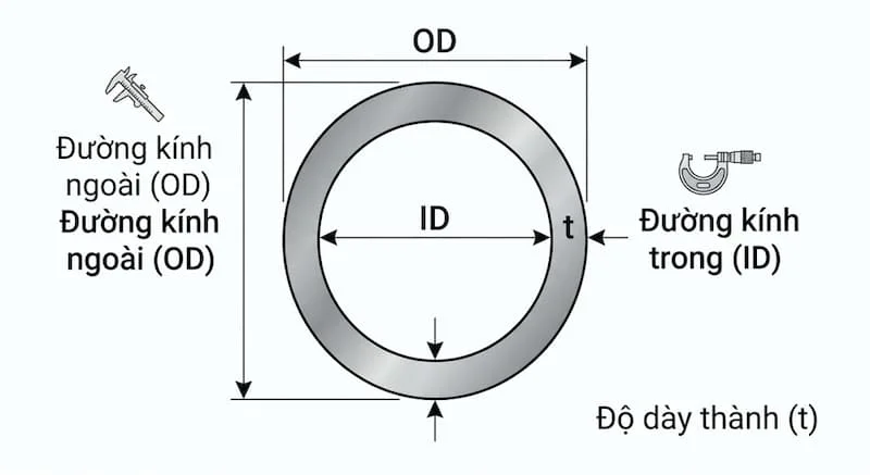 Các yếu tố ảnh hưởng đến trọng lượng