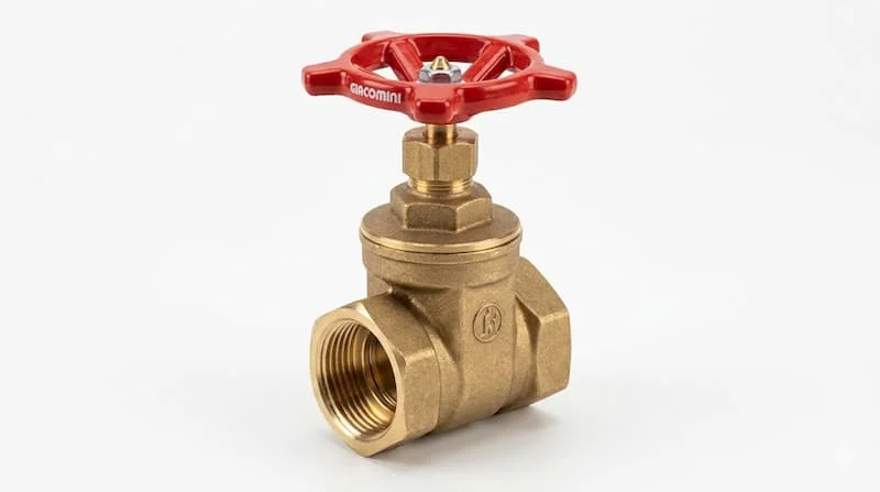 Định nghĩa của Giacomini valve