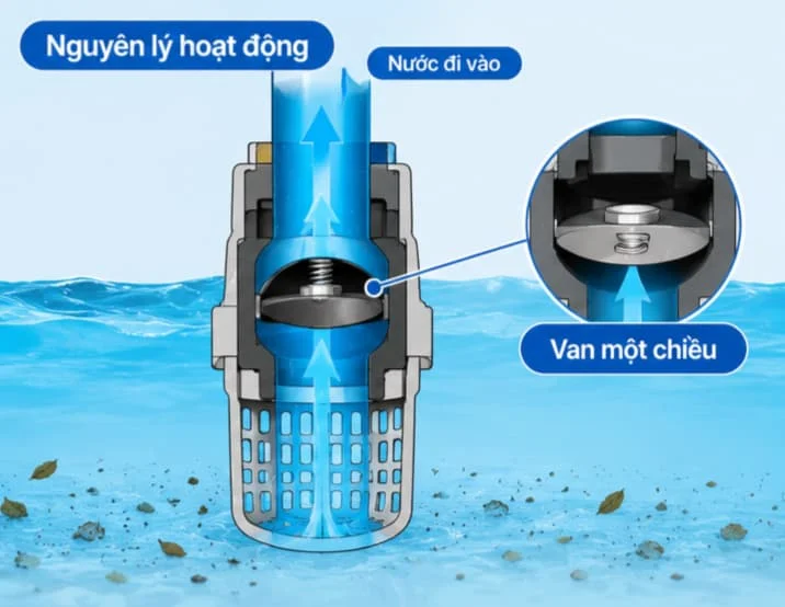 Cách chọn chõ đúng cách