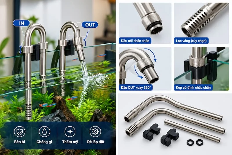 Ứng dụng trong thực tế