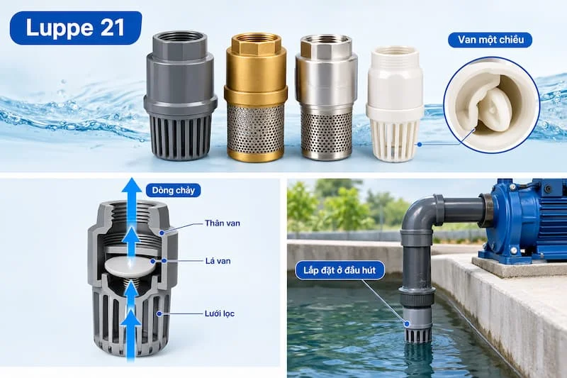 Ứng dụng trong thực tế