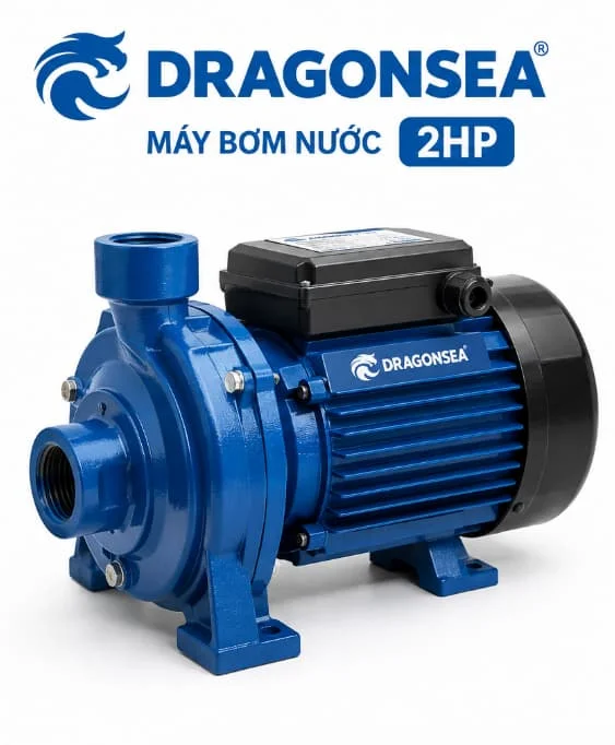 Định nghĩa về máy bơm Dragonsea 2HP