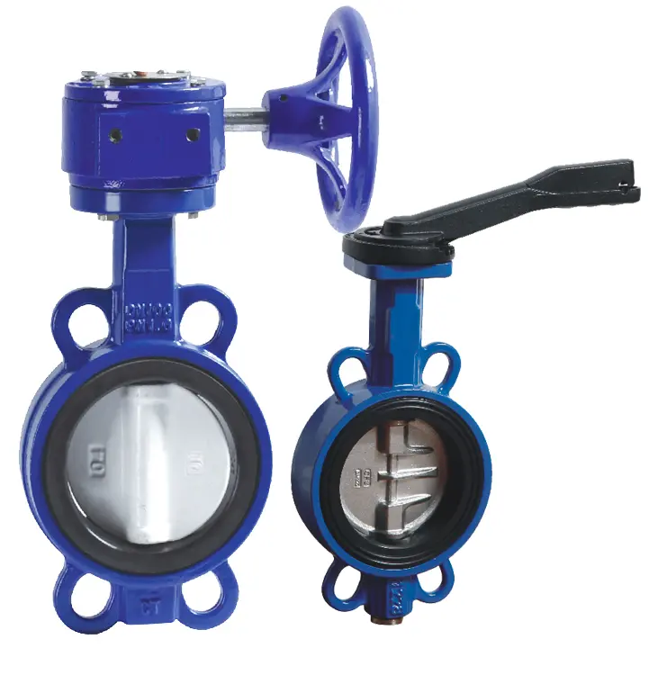 4 Inch Butterfly Valve 2