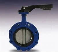 Hình ảnh minh họa (2)