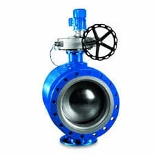 Hình ảnh minh họa (1)