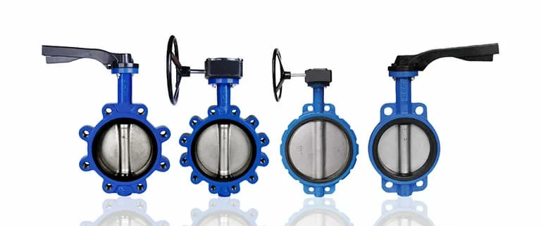 Hình ảnh minh họa (2)