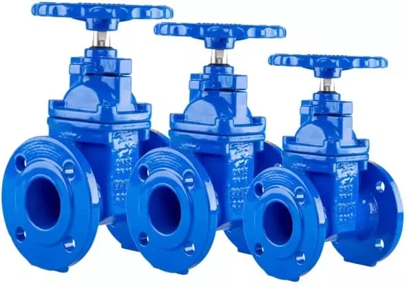 Hình ảnh minh họa (2)