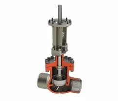 Hình ảnh minh họa (1)