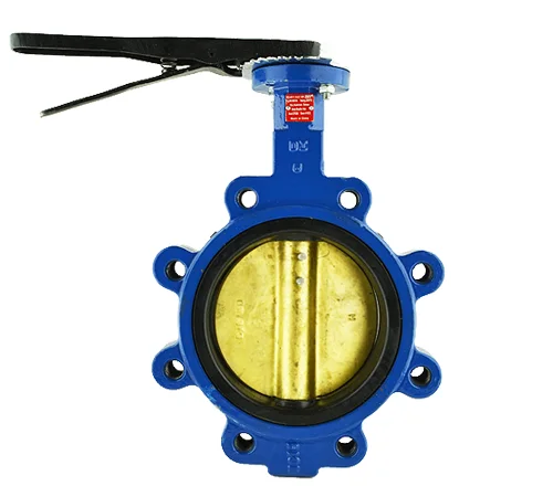 butterfly-valve-4-inox