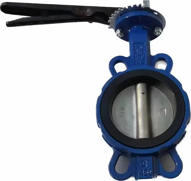 Hình ảnh minh họa (2)