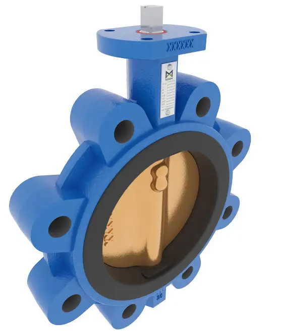 butterfly-valve-dn250-2