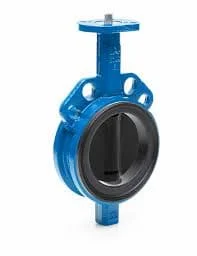 Hình ảnh minh họa (2)