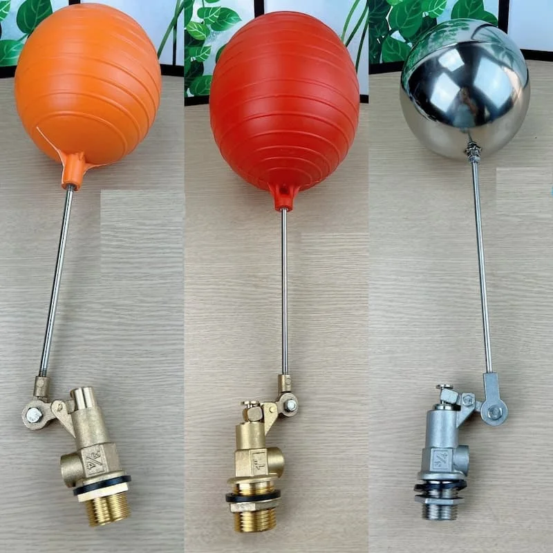 Hình ảnh minh họa (2)