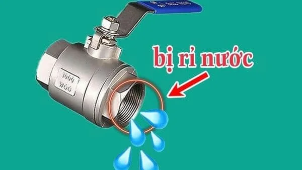 Hình ảnh minh họa (1)