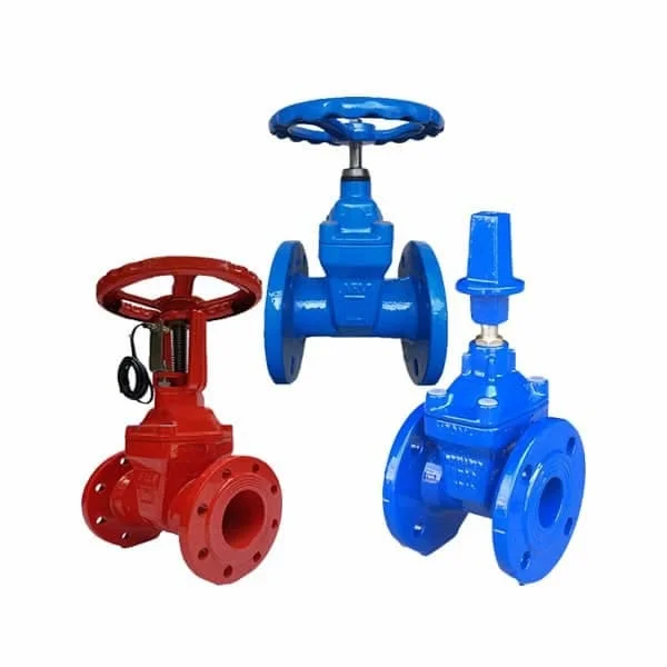 Hình ảnh minh họa (1)