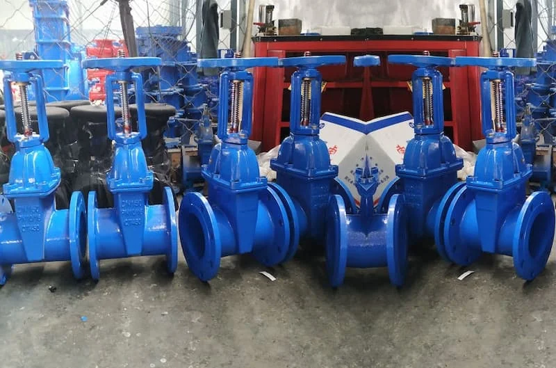 Hình ảnh minh họa (2)