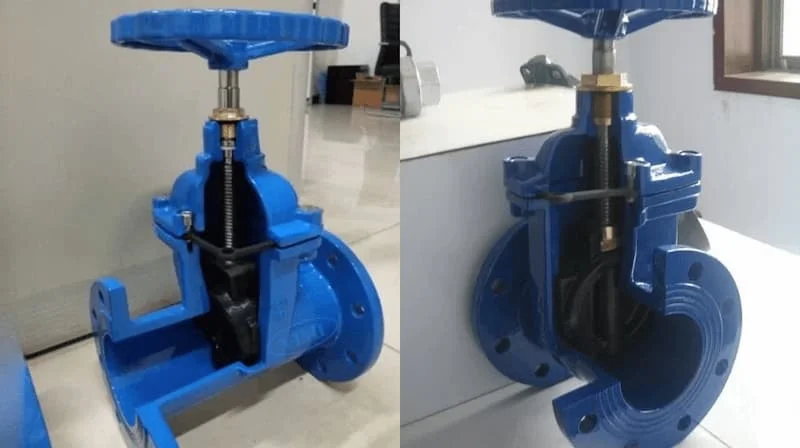 Hình ảnh minh họa (2)