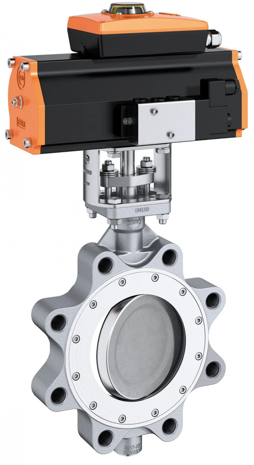 Ebro Butterfly Valve 2