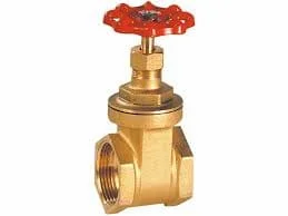 Hình ảnh minh họa (2)