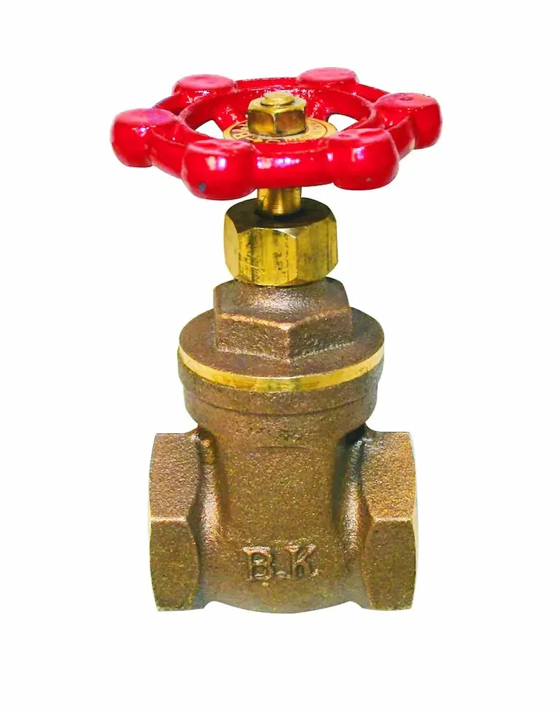 Hình ảnh minh họa (1)