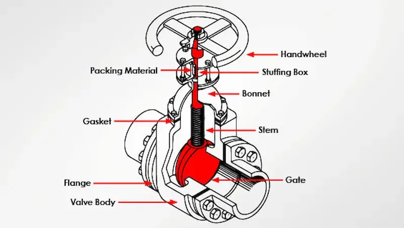 Hình ảnh minh họa (2)