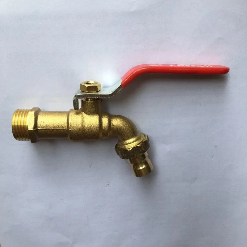 Hình ảnh minh họa (1)