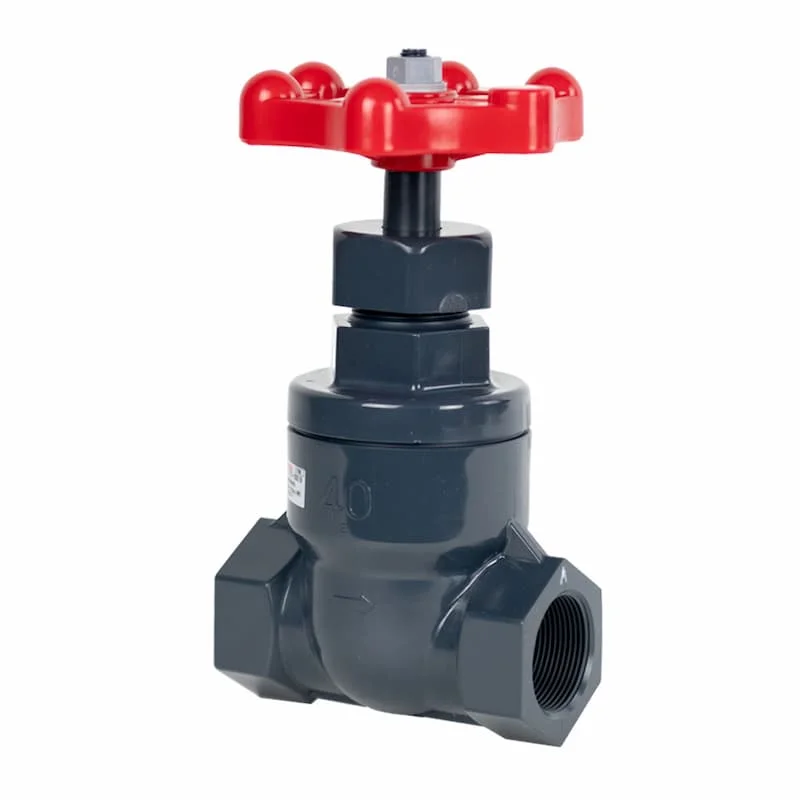 Hình ảnh minh họa (2)