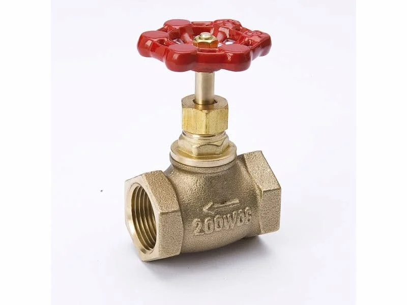 Hình ảnh minh họa (1)