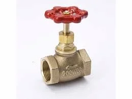 Hình ảnh minh họa (1)