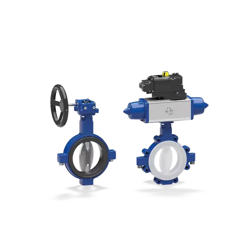 Hình ảnh minh họa (2)