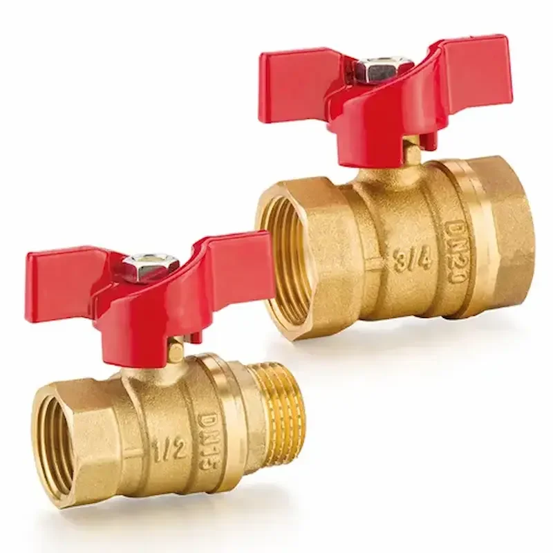 Hình ảnh minh họa (2)