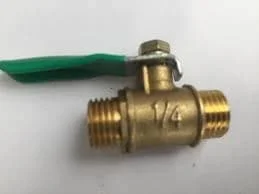 Hình ảnh minh họa (1)