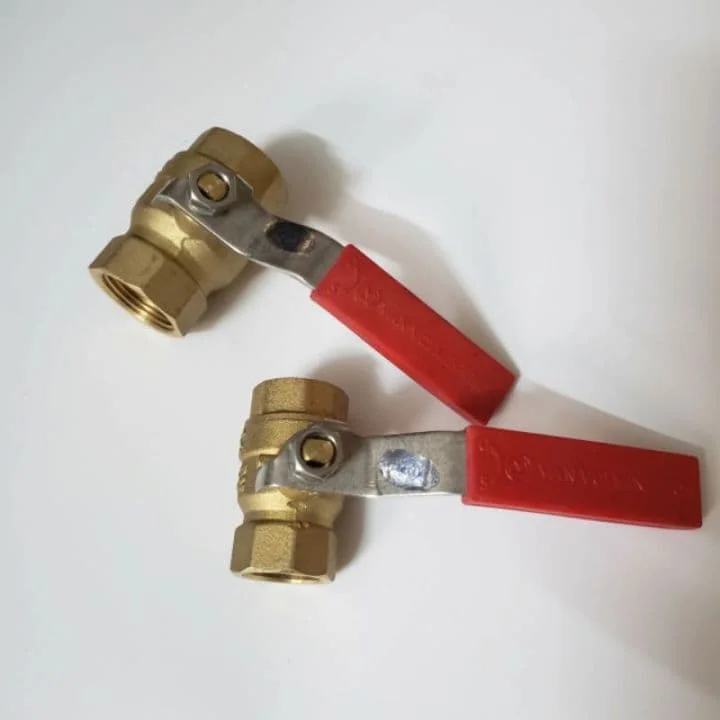 Hình ảnh minh họa (1)