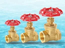 Hình ảnh minh họa (2)