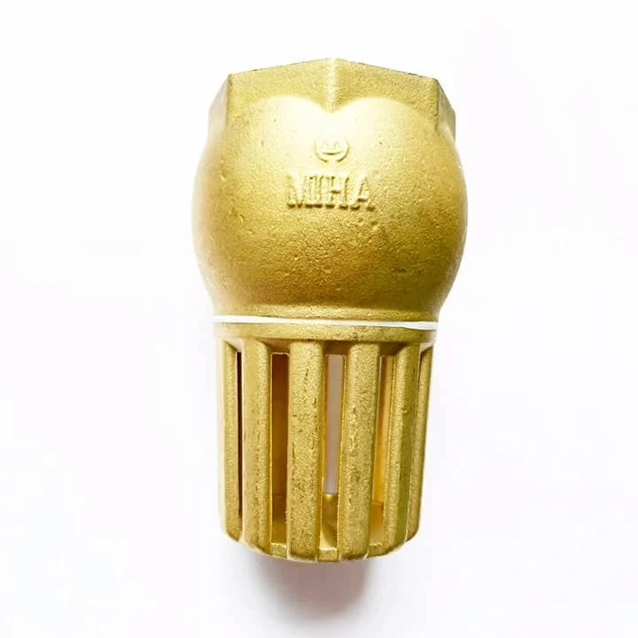 Hình ảnh minh họa (1)