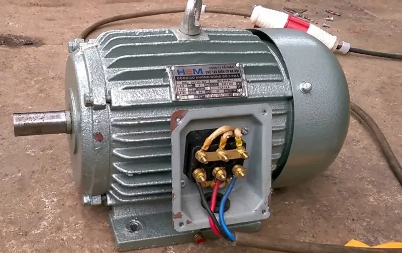 Hình ảnh minh họa (2)