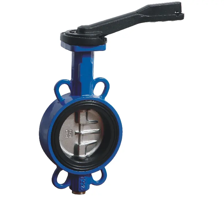 One Way Butterfly Valve 2