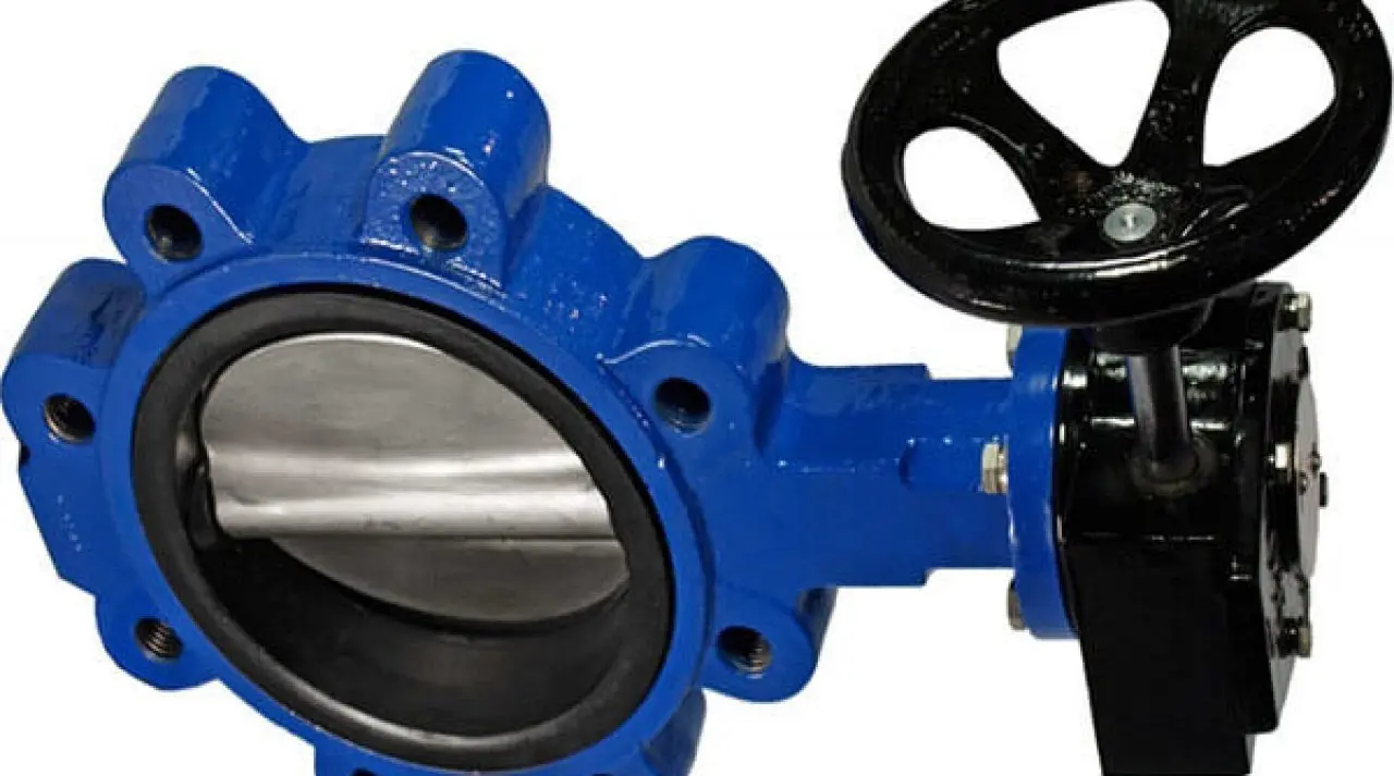 One Way Butterfly Valve