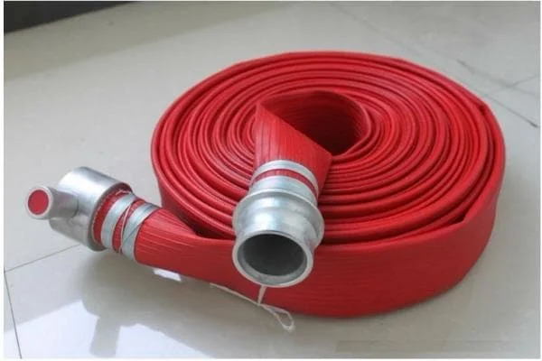 Hình ảnh minh họa (2)