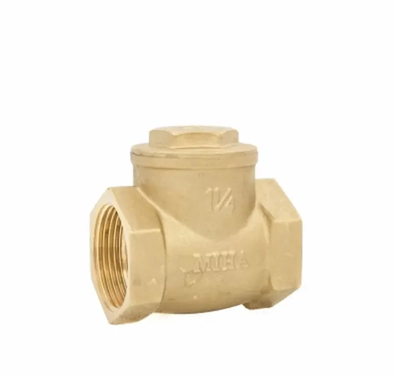 Hình ảnh minh họa (2)