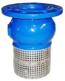 Hình ảnh minh họa (2)