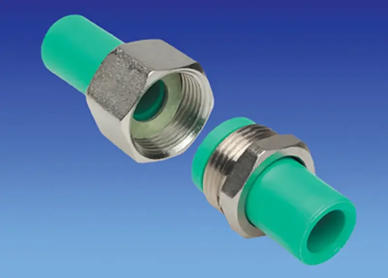 Hình ảnh minh họa (2)